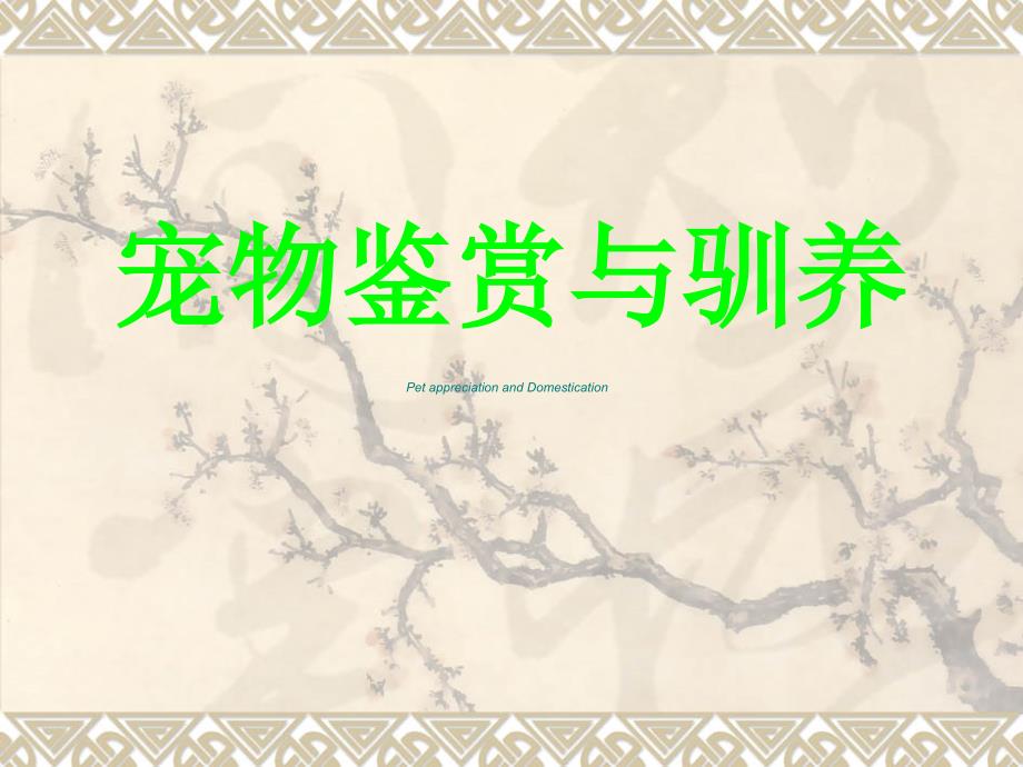 宠物鉴赏与驯养狗课件_第1页