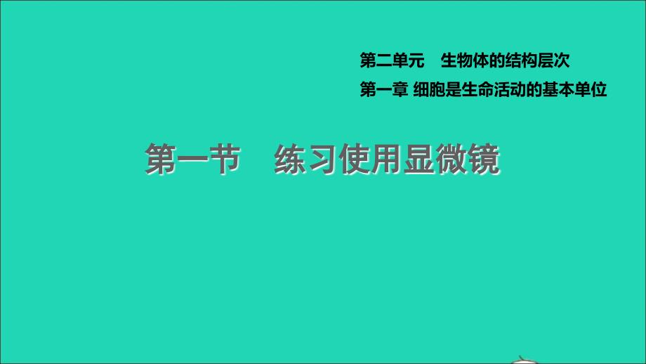 七年级生物上册第二单元生物体的结构层次第一章细胞是生命活动的基本单位第1节练习使用显微镜新版新人教版课件_第1页