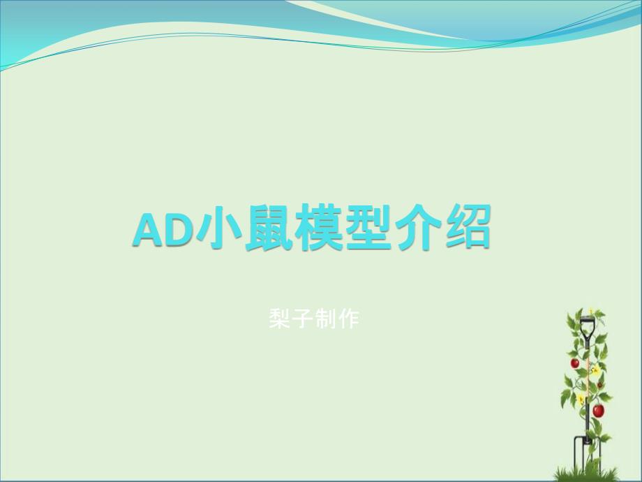 AD小鼠模型介绍_第1页