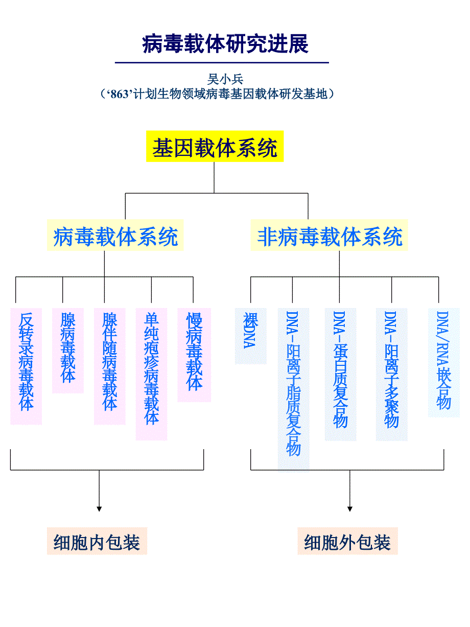 《病毒载体概述》PPT课件_第1页