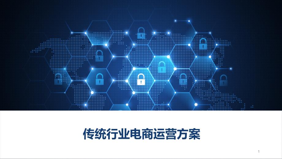 传统行业电商运营方案课件_第1页