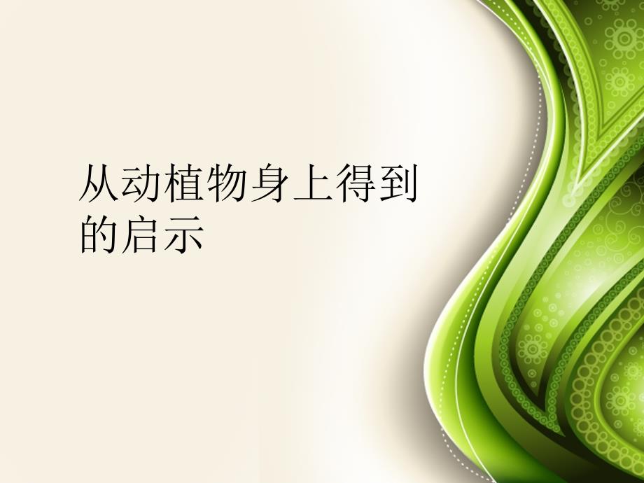 从动植物身上得到的启示_第1页