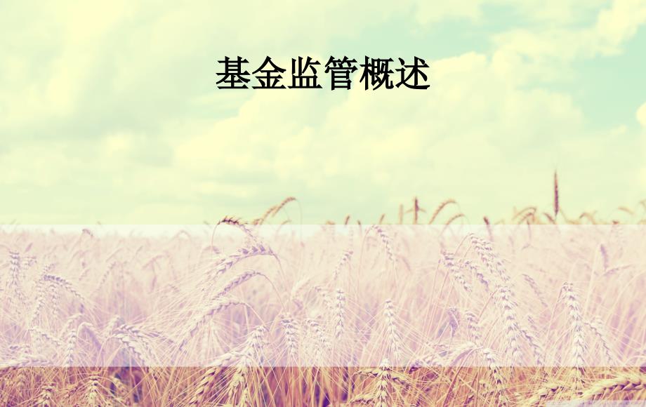 基金监管概述_第1页
