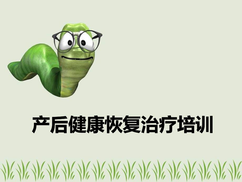 产后恢复治疗理论及实操培训课件_第1页