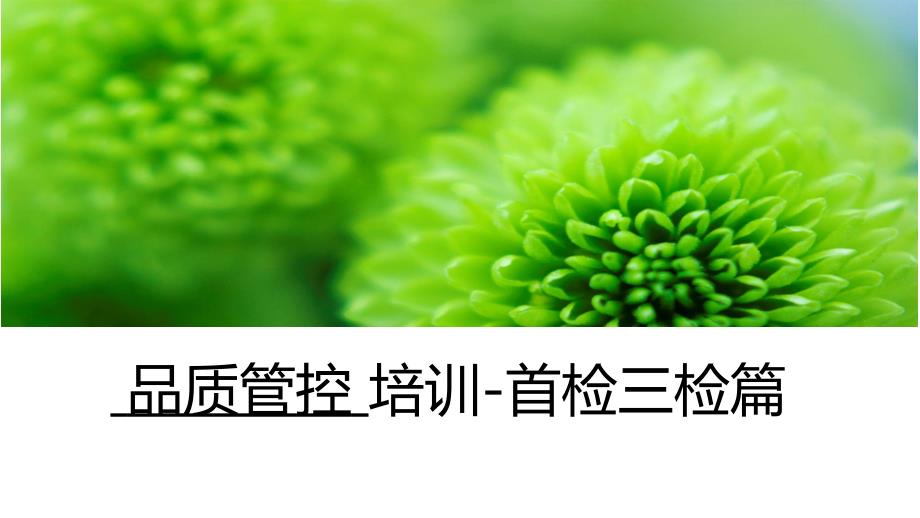 品质管控培训-首检三检篇_第1页