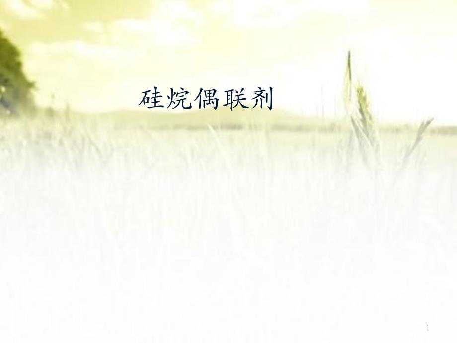 硅烷偶联剂-课件_第1页