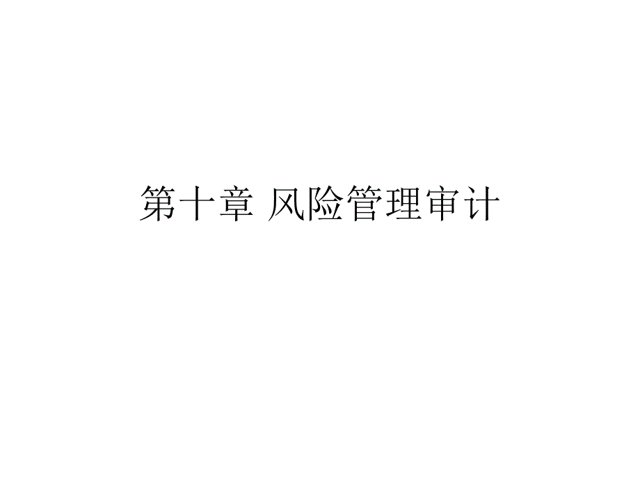 企业风险管理审计_第1页