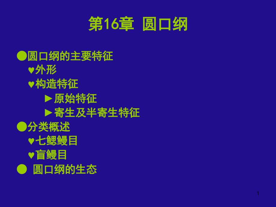 圆口纲教学讲解课件_第1页