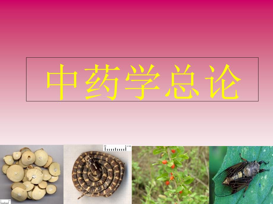 中药的起源和发展史ppt课件_第1页