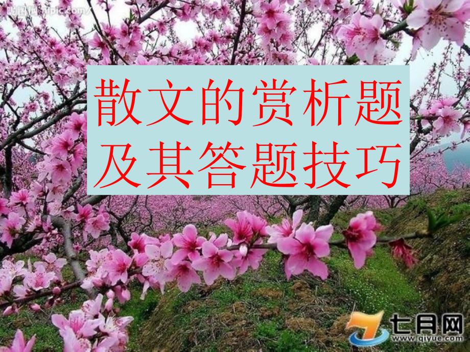 散文的赏析题及其答题技巧_第1页
