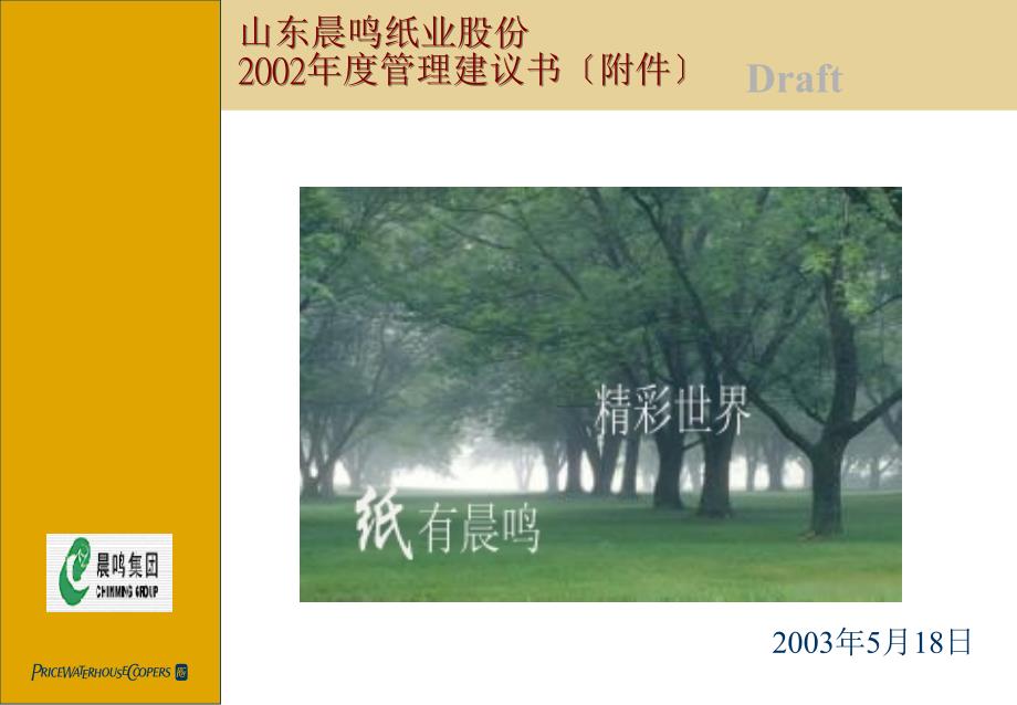 4晨鸣纸业股份有限公司年度管理建议书_第1页