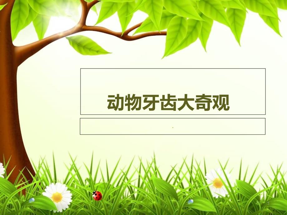 新城幼儿园大班健康《动物牙齿大奇观》课件_第1页
