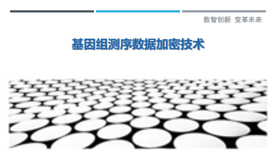 基因组测序数据加密技术-洞察剖析_第1页