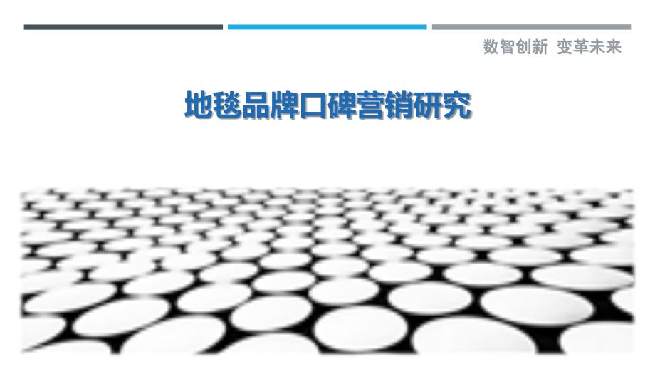 地毯品牌口碑营销研究-洞察剖析_第1页