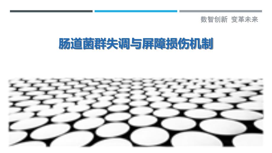 肠道菌群失调与屏障损伤机制-洞察剖析_第1页