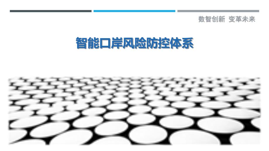 智能口岸风险防控体系-洞察剖析_第1页