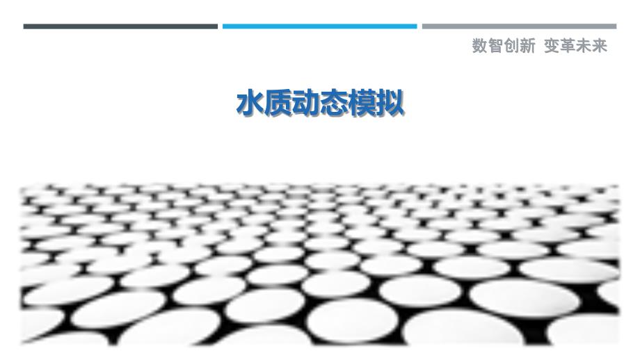 水质动态模拟-洞察剖析_第1页