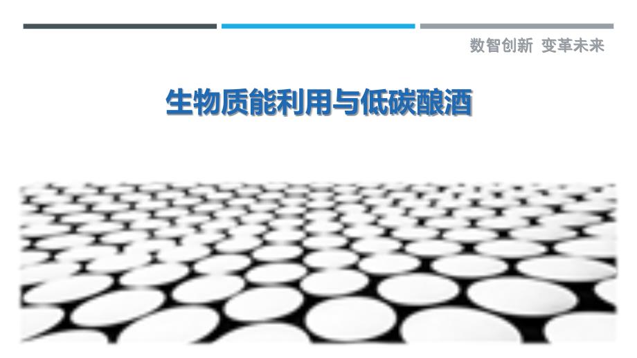 生物质能利用与低碳酿酒-洞察剖析_第1页