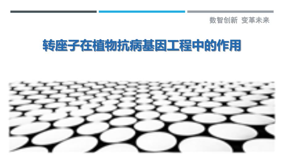 转座子在植物抗病基因工程中的作用-洞察剖析_第1页