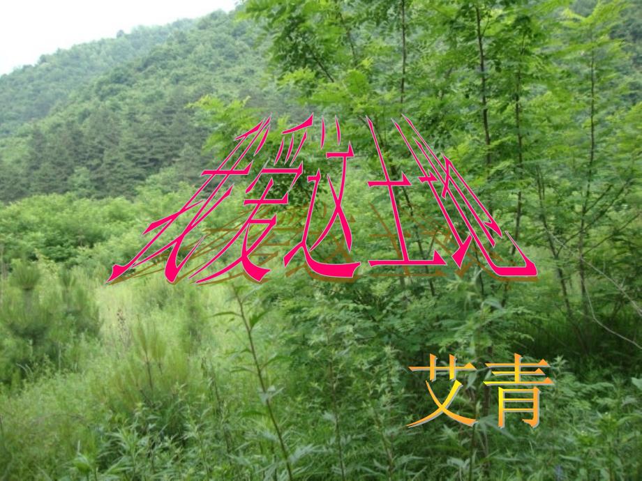 《我爱这土地》课件_第1页