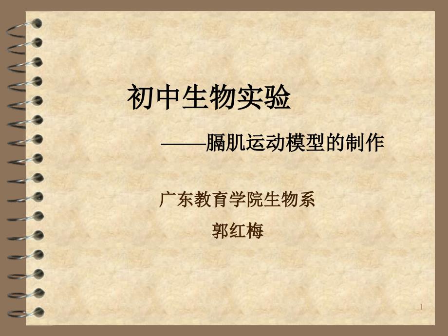 膈肌运动模型的制作ppt课件_第1页