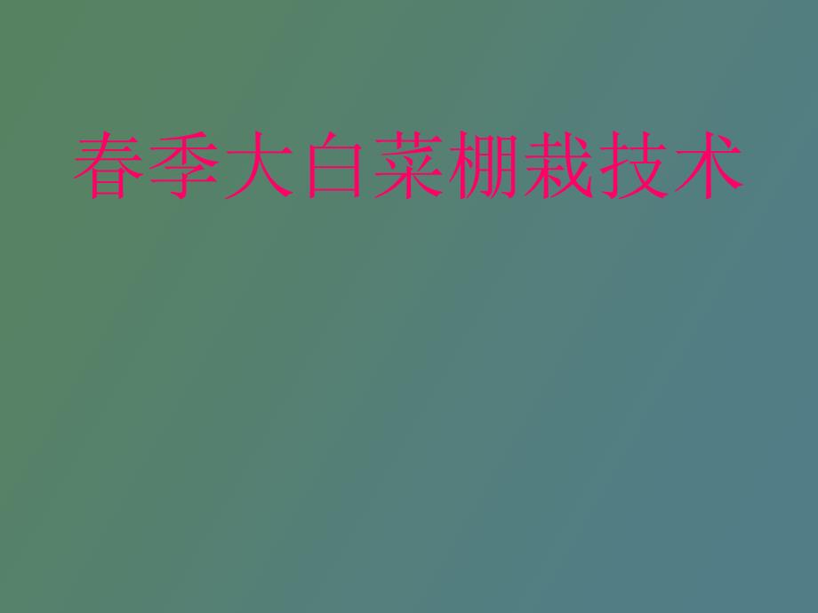 春大白菜棚栽技术_第1页