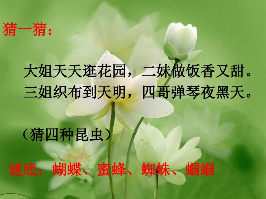 绿色蝈蝈PPT课件_第1页