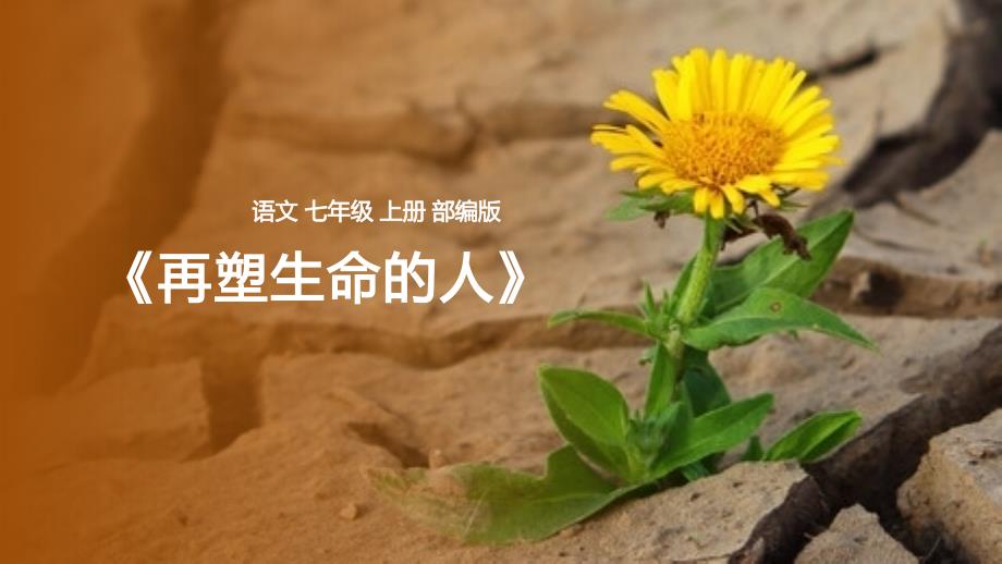 部编版七年级上册《再塑生命的人》课件_第1页