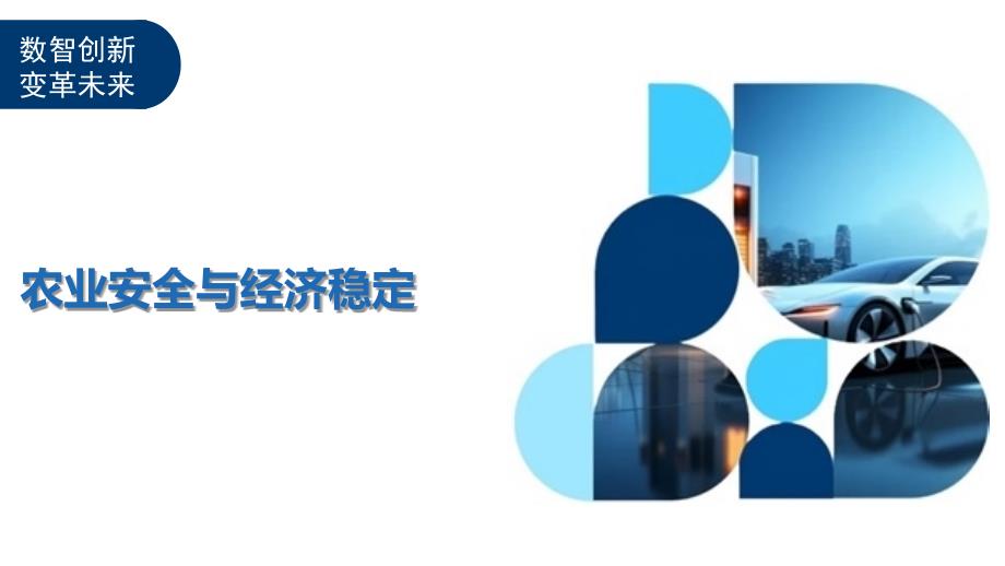 农业安全与经济稳定-洞察及研究_第1页