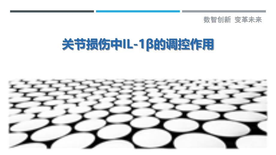 关节损伤中IL-1β的调控作用-洞察剖析_第1页
