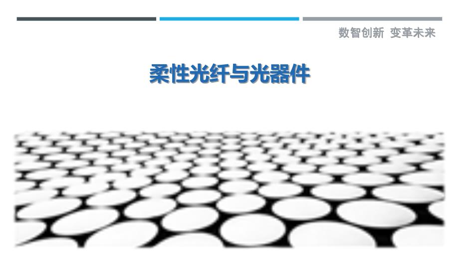 柔性光纤与光器件-洞察剖析_第1页