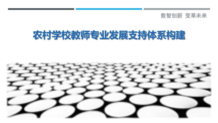 农村学校教师专业发展支持体系构建-洞察剖析_第1页