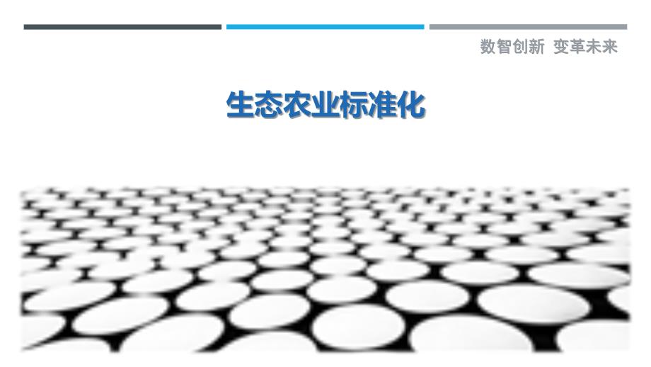 生态农业标准化-洞察剖析_第1页
