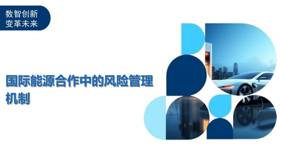 国际能源合作中的风险管理机制-洞察及研究_第1页