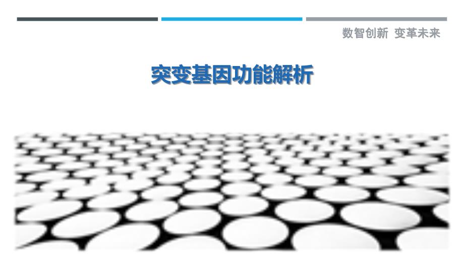 突变基因功能解析-洞察剖析_第1页