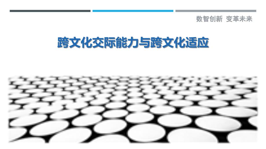 跨文化交际能力与跨文化适应-洞察剖析_第1页