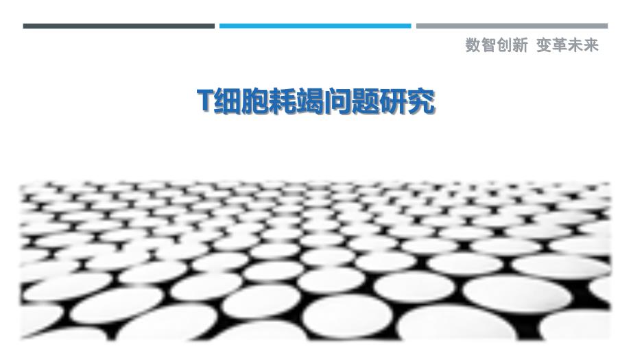 T细胞耗竭问题研究详细解析_第1页