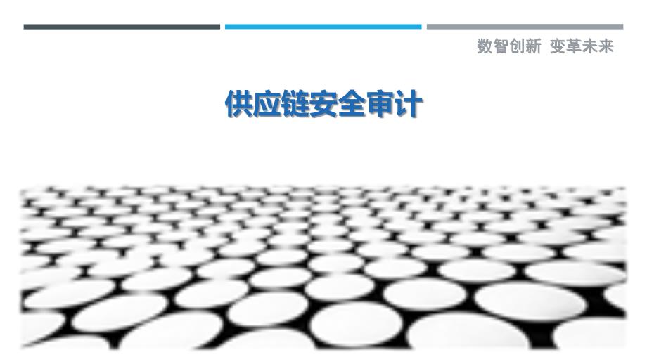 供应链安全审计-第2篇最佳分析_第1页