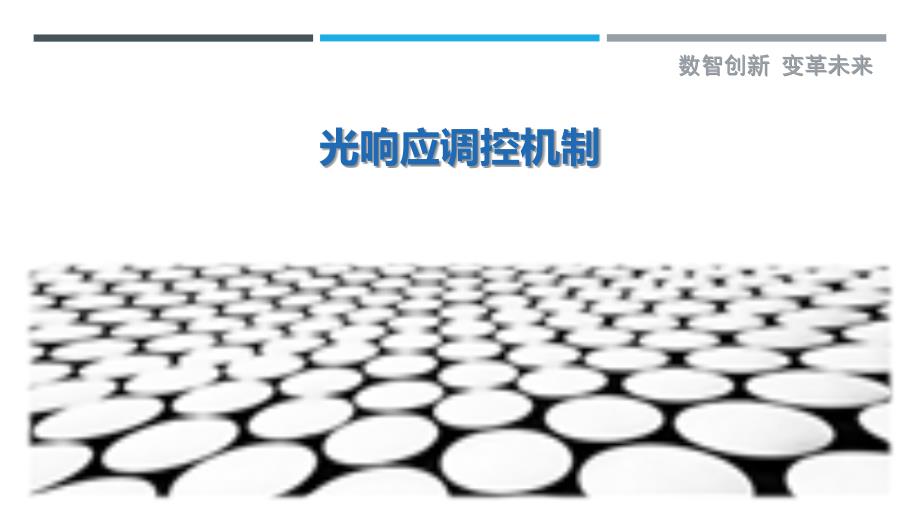 光响应调控机制-第1篇最佳分析_第1页
