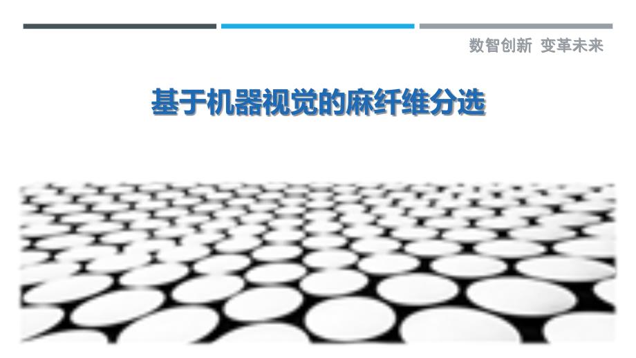 基于机器视觉的麻纤维分选最佳分析_第1页