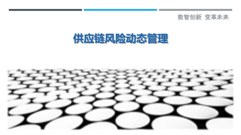 供应链风险动态管理-第1篇最佳分析_第1页