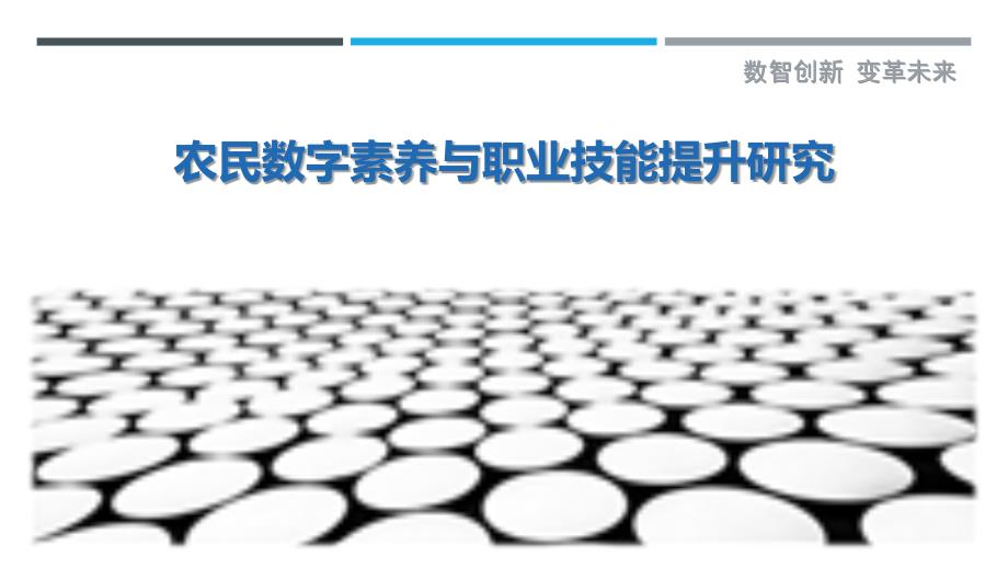 农民数字素养与职业技能提升研究最佳分析_第1页