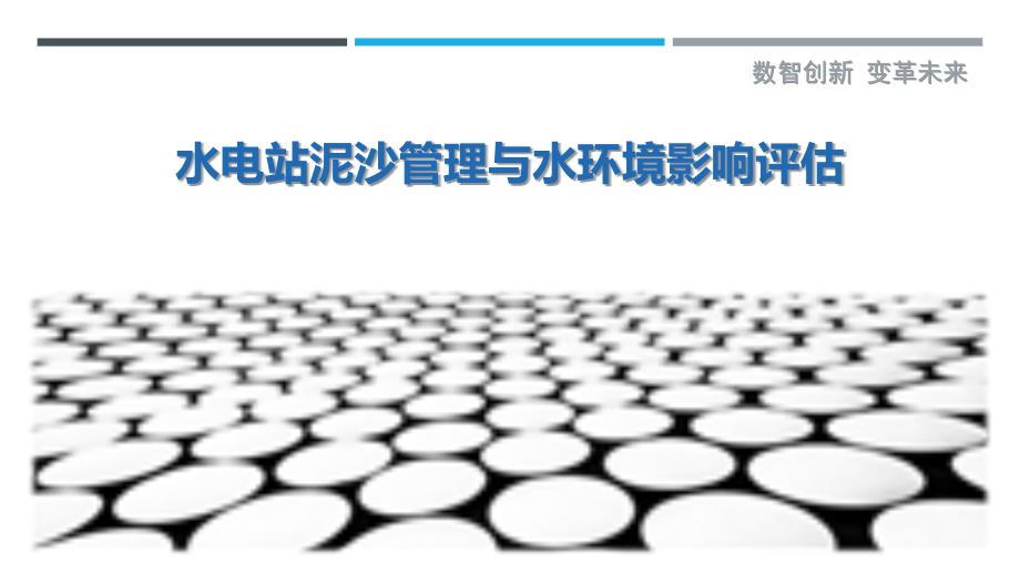 水电站泥沙管理与水环境影响评估最佳分析_第1页