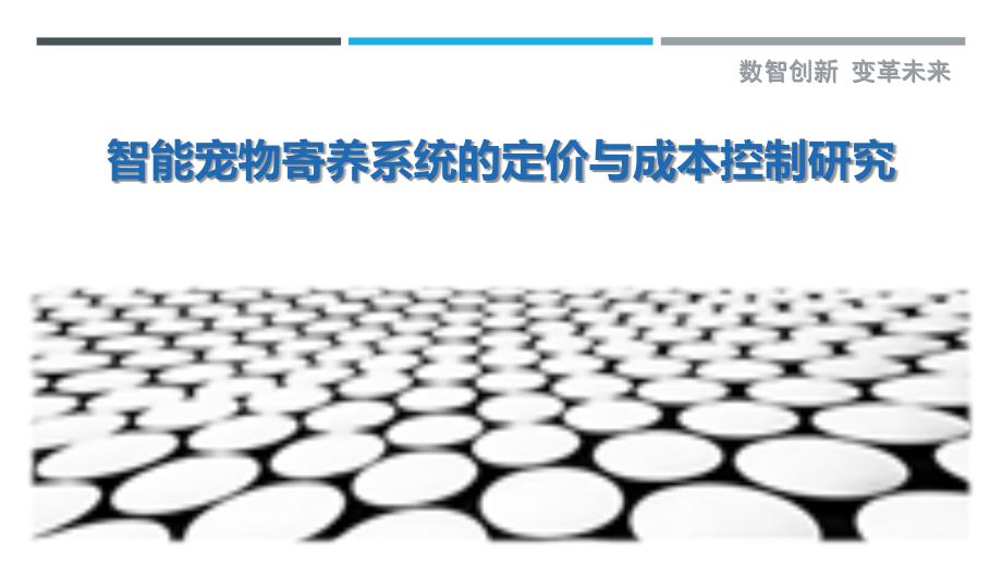 智能宠物寄养系统的定价与成本控制研究最佳分析_第1页