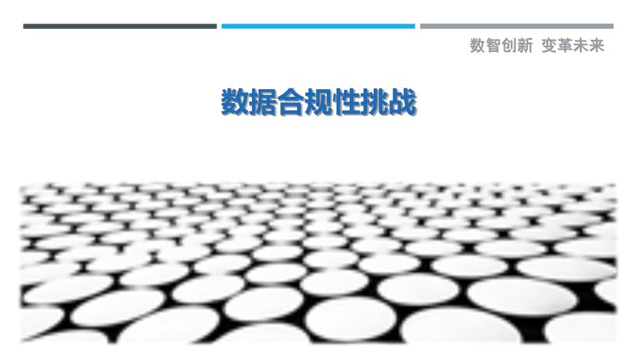 数据合规性挑战最佳分析_第1页