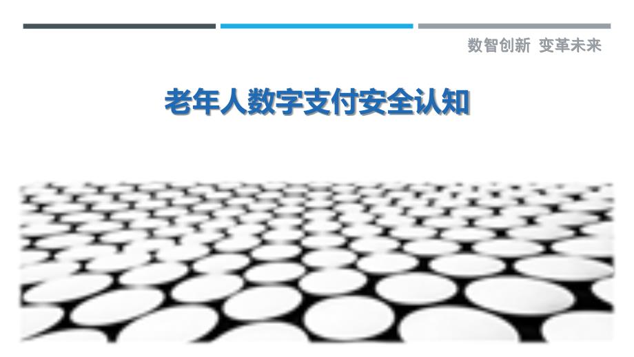 老年人数字支付安全认知最佳分析_第1页