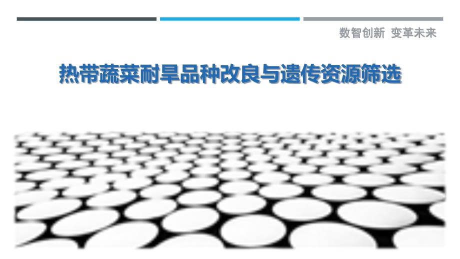 热带蔬菜耐旱品种改良与遗传资源筛选最佳分析_第1页