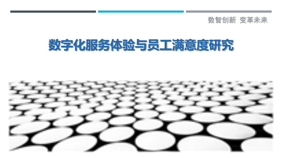 数字化服务体验与员工满意度研究最佳分析_第1页