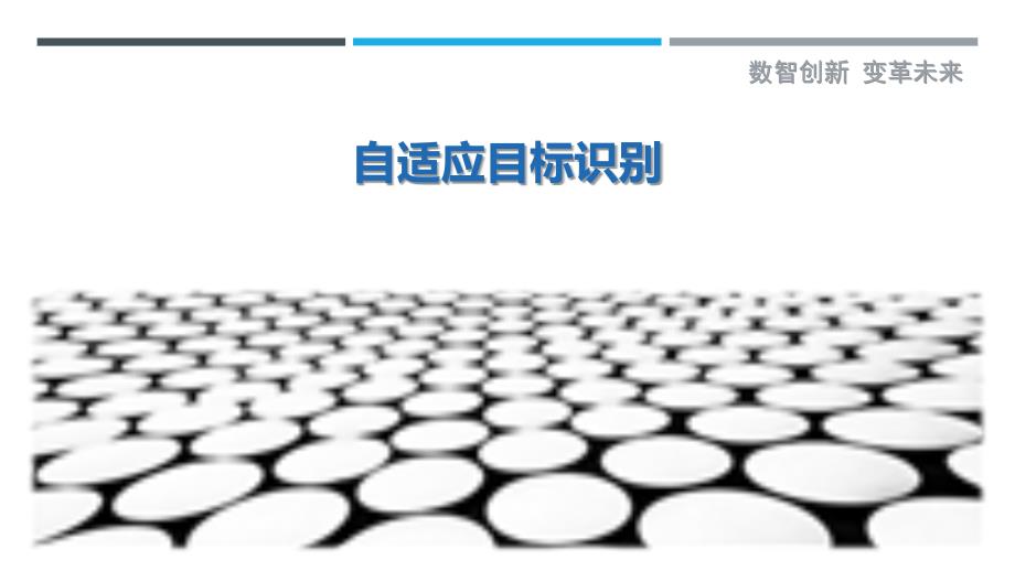 自适应目标识别最佳分析_第1页