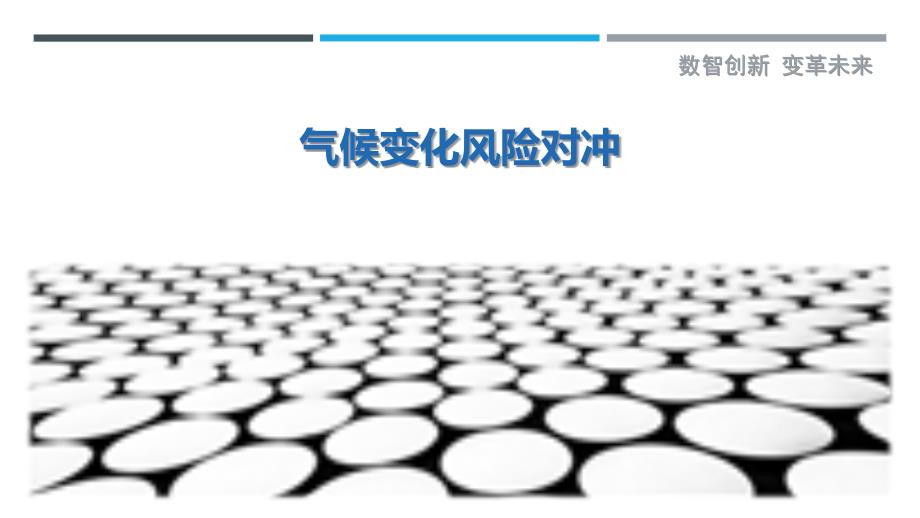 气候变化风险对冲最佳分析_第1页